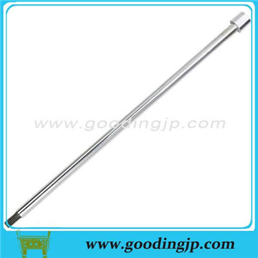 الكشف عن إبرة الربيع