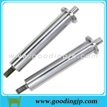 إبرة الربيع